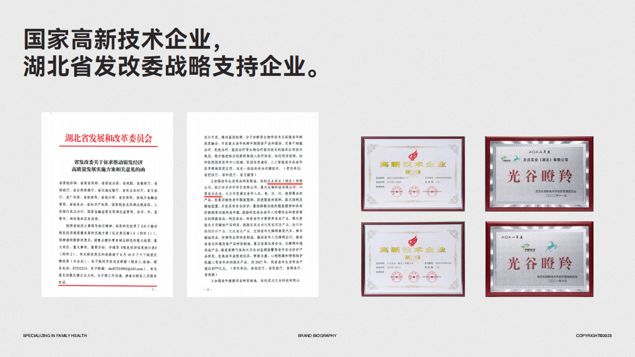 2023 左点品牌介绍.pdf_第10页