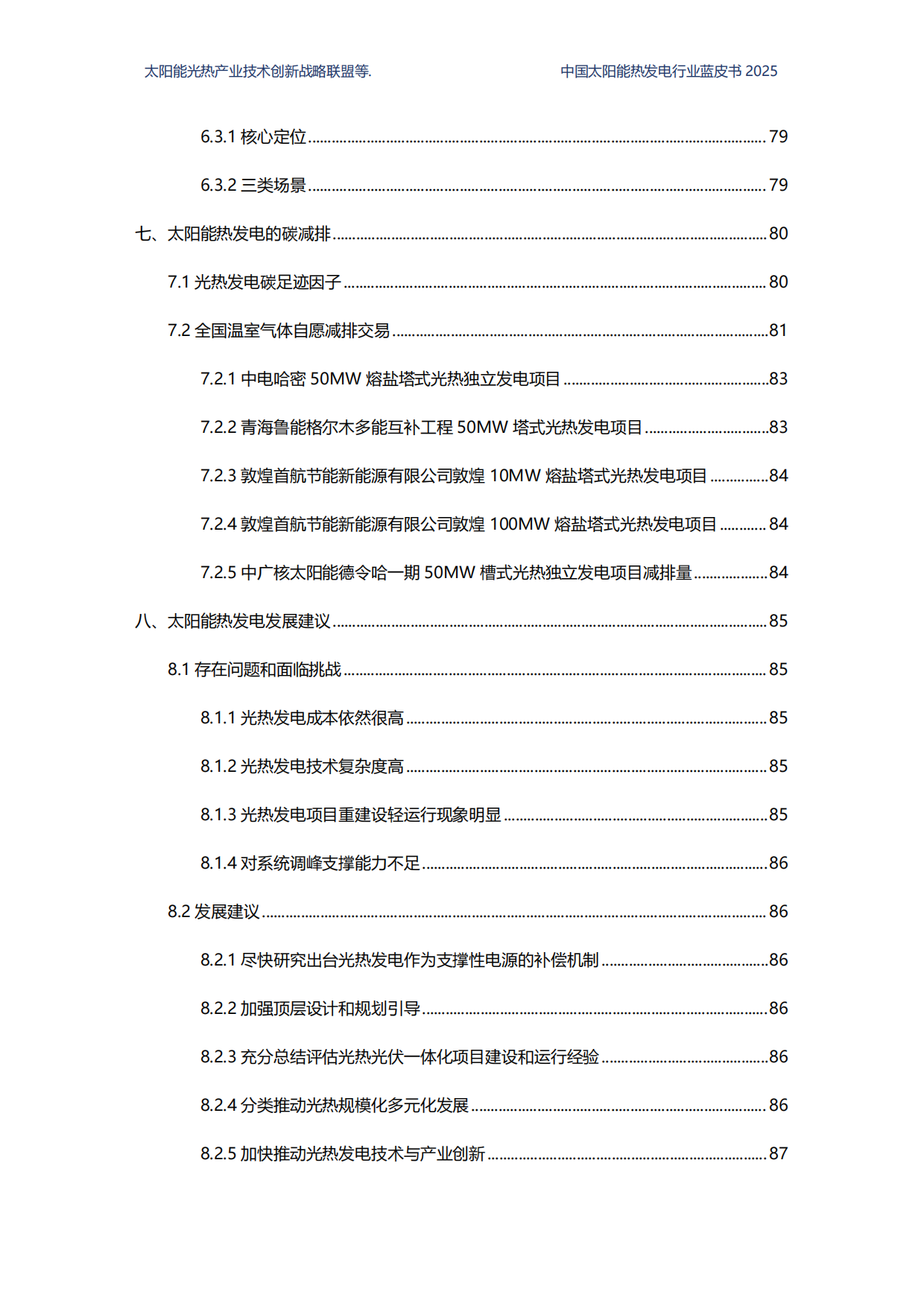 2025中国太阳能热发电行业蓝皮书-国家太阳能光热产业技术创新战略联盟.pdf_第7页