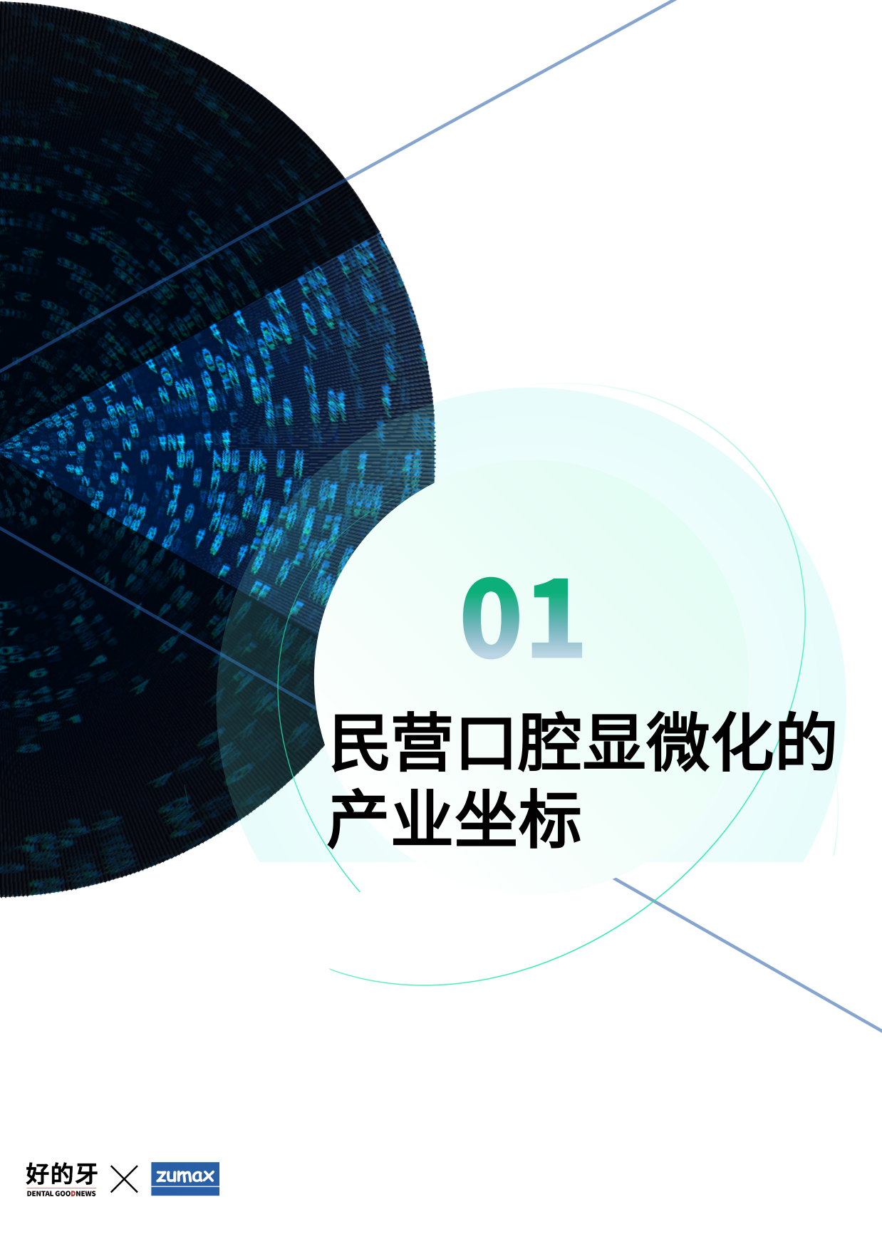2026民营口腔显微技术应用白皮书-好的牙.pdf_第4页