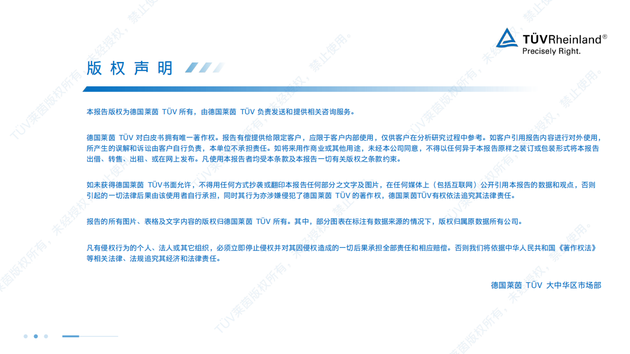 2026年储能白皮书-TÜV莱茵.pdf_第2页