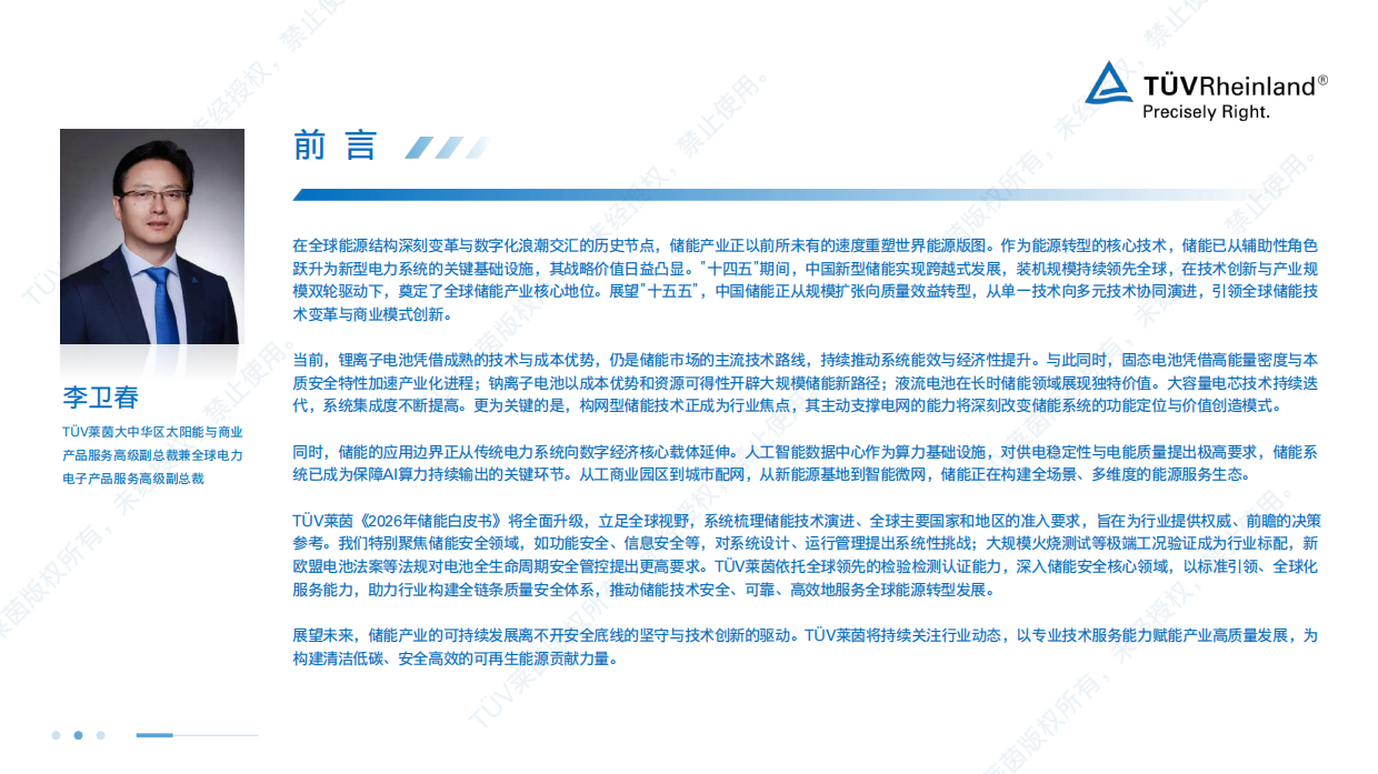 2026年储能白皮书-TÜV莱茵.pdf_第3页