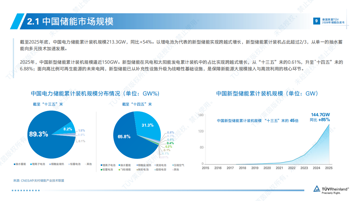 2026年储能白皮书-TÜV莱茵.pdf_第9页