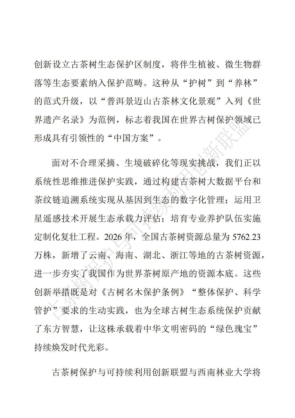中国古茶树资源状况白皮书（2026）.pdf_第4页