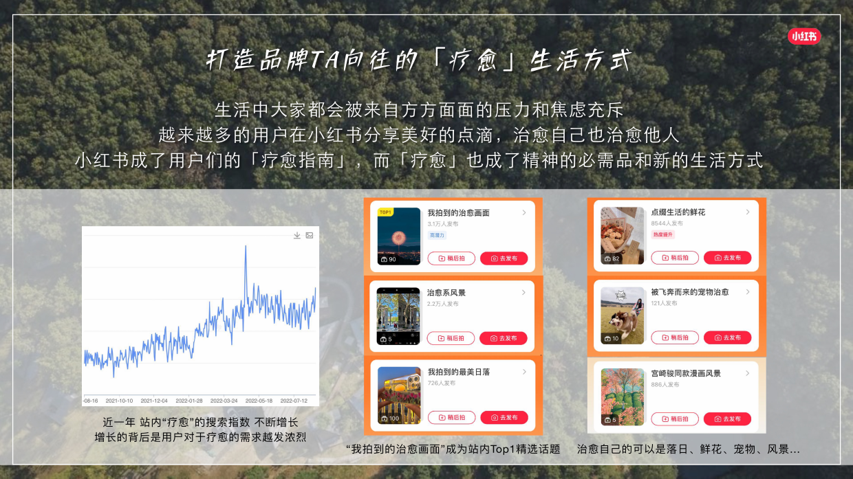 2026小红书野奢秘境漫游招商方案.pdf_第5页