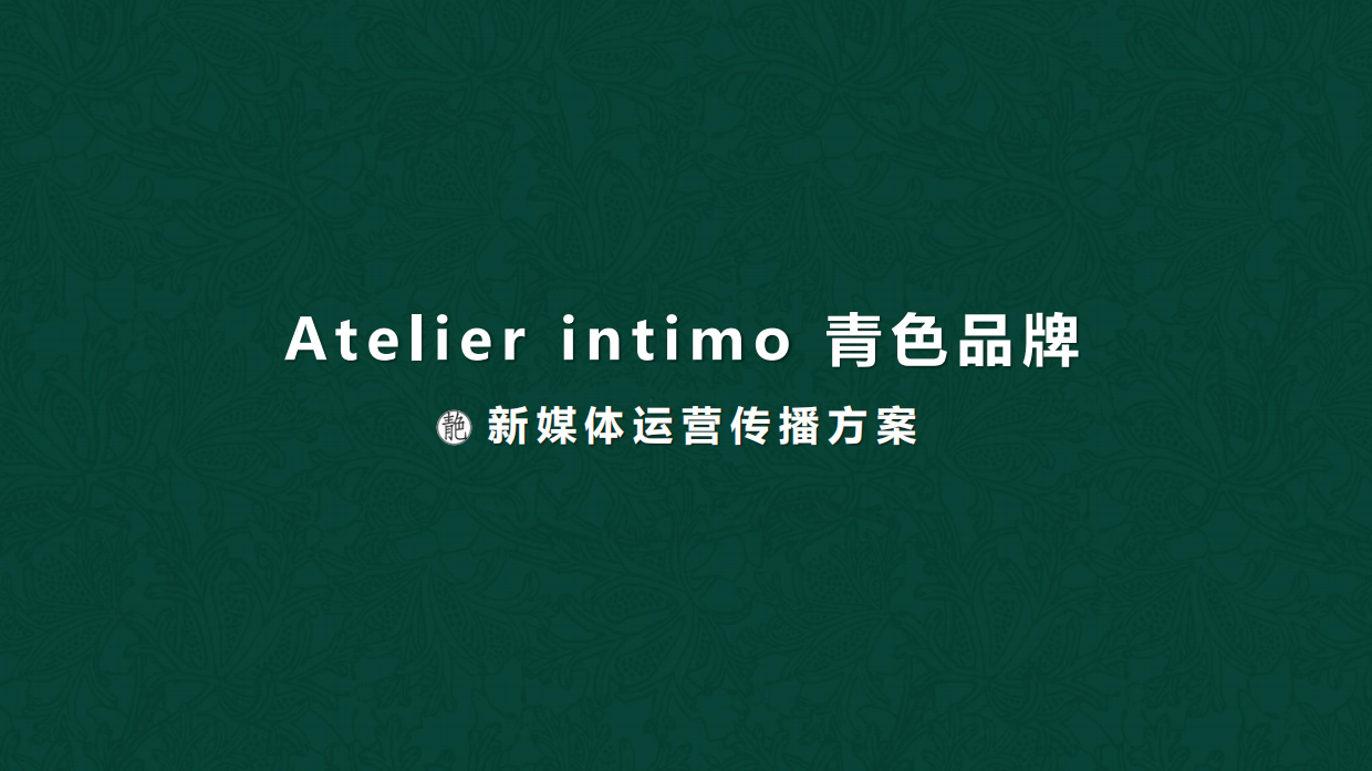 青色内衣品牌新媒体运营传播方案.pdf_第1页