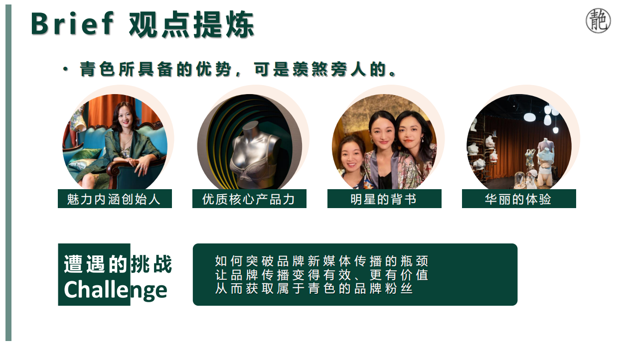 青色内衣品牌新媒体运营传播方案.pdf_第5页