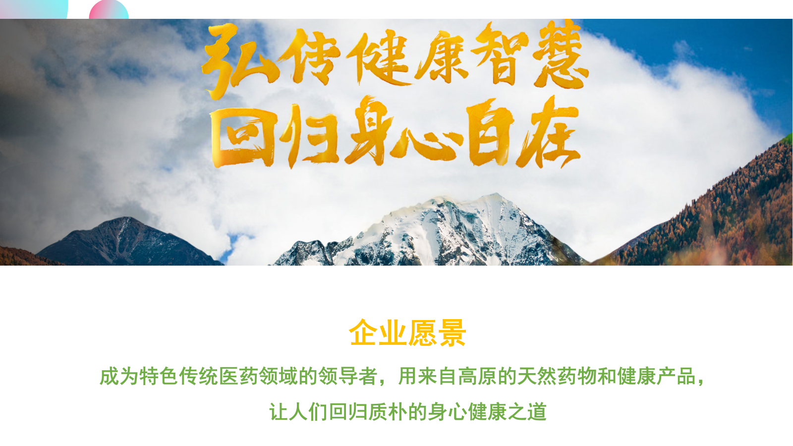 医药企业藏药品牌抖音短视频代运营方案（含报价）-25P.pptx_第4页