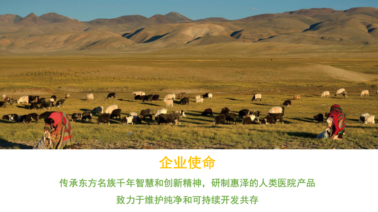 医药企业藏药品牌抖音短视频代运营方案（含报价）-25P.pptx_第5页