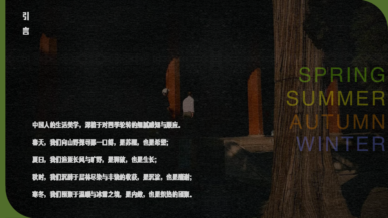 快手IP四季玩家招商方案.pdf_第2页