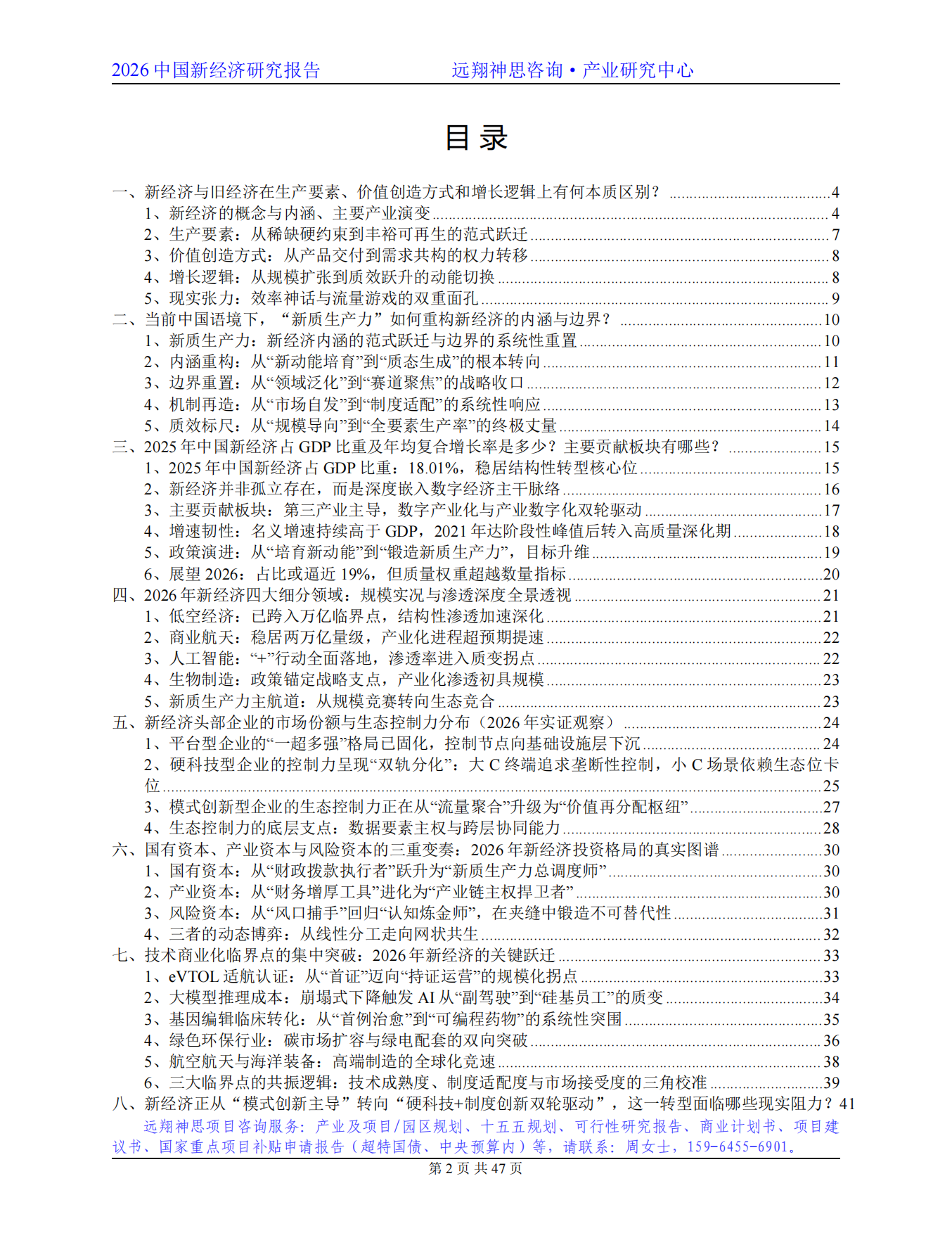 2026年中国新经济研究报告-远翔神思咨询.pdf_第2页