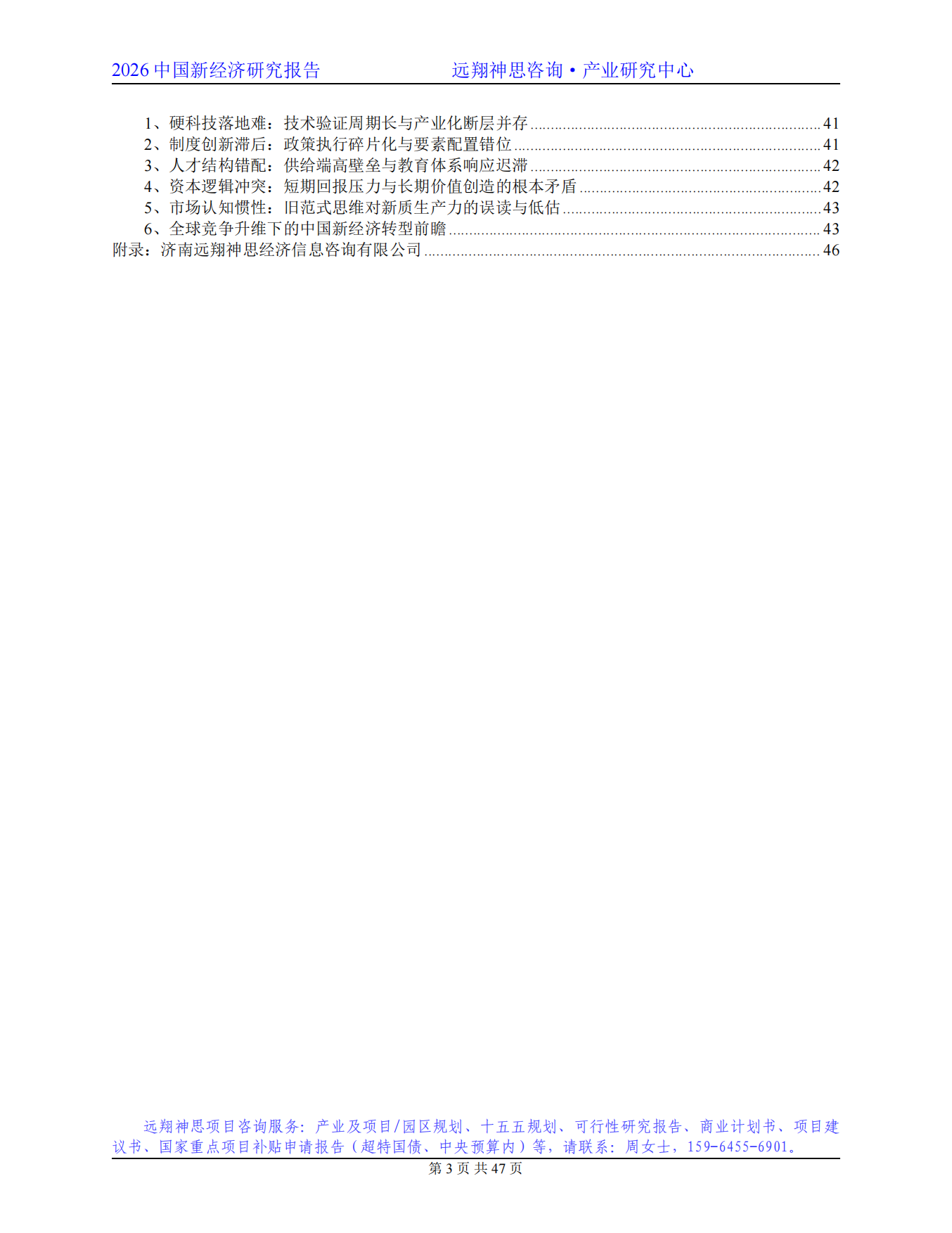 2026年中国新经济研究报告-远翔神思咨询.pdf_第3页