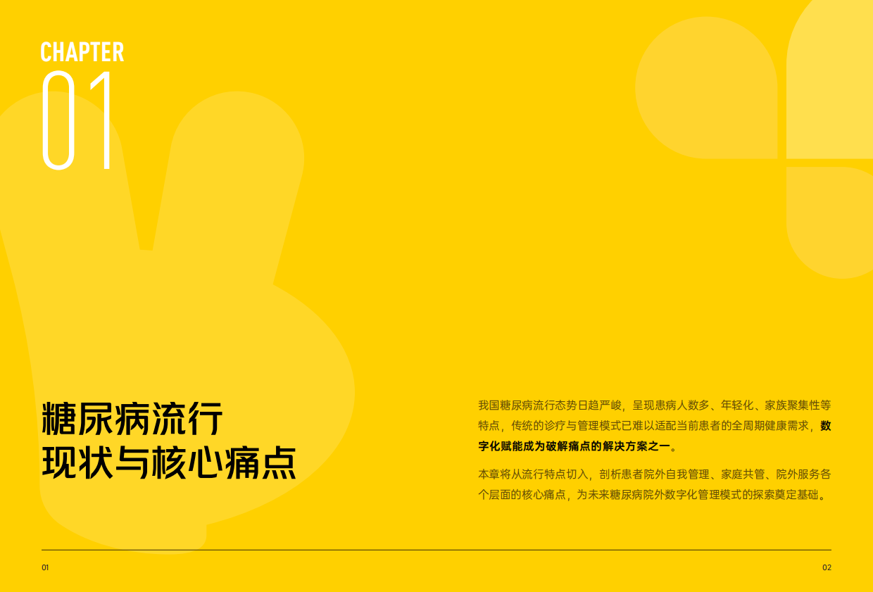 2026年糖尿病院外数字化健康管理报告-美团医药.pdf_第3页