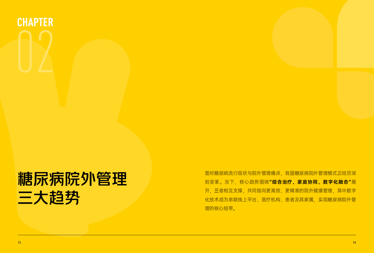 2026年糖尿病院外数字化健康管理报告-美团医药.pdf_第9页