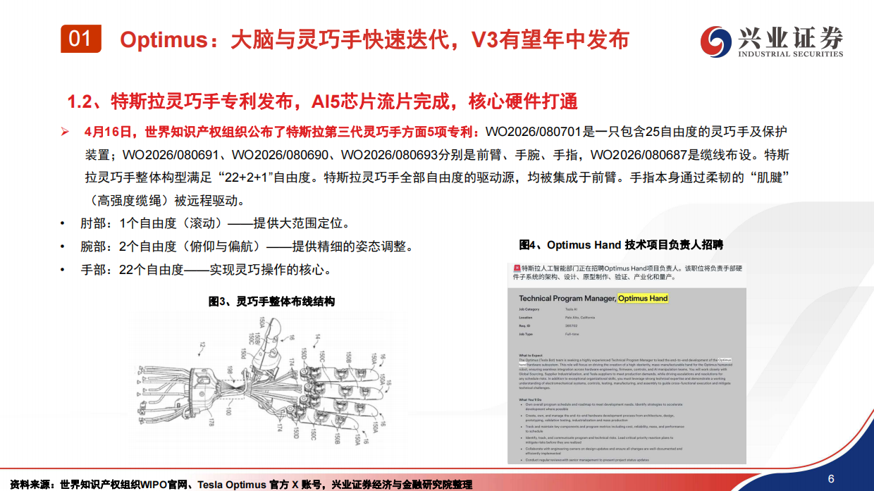 2026汽车行业：机器人量产元年，海外与国内机器人共线发展-兴业证券.pdf_第7页