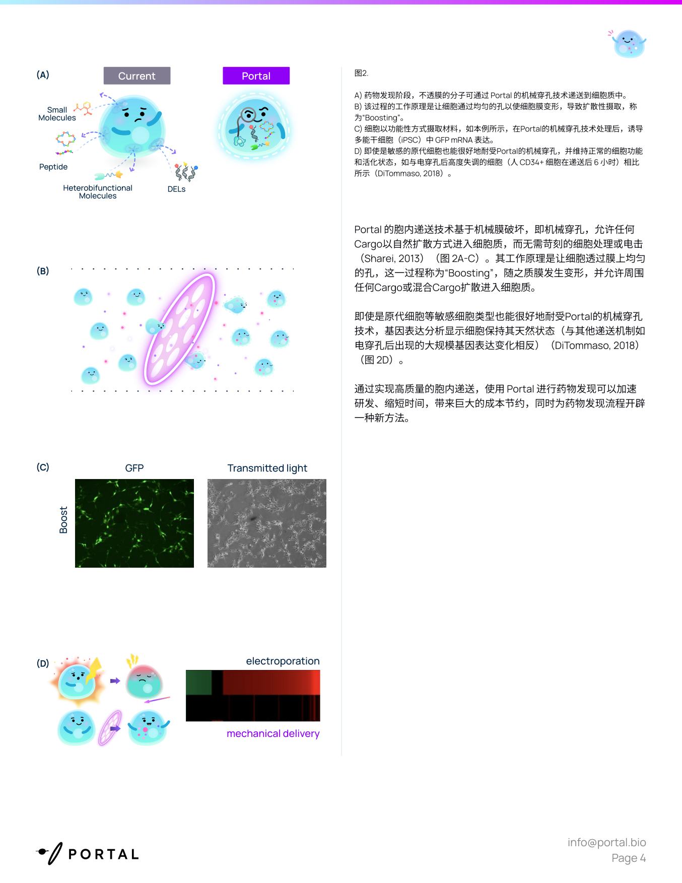 2026药物发现白皮书－攻克透膜性难题胞内递送技术开启药研新时代-portal.pdf_第4页