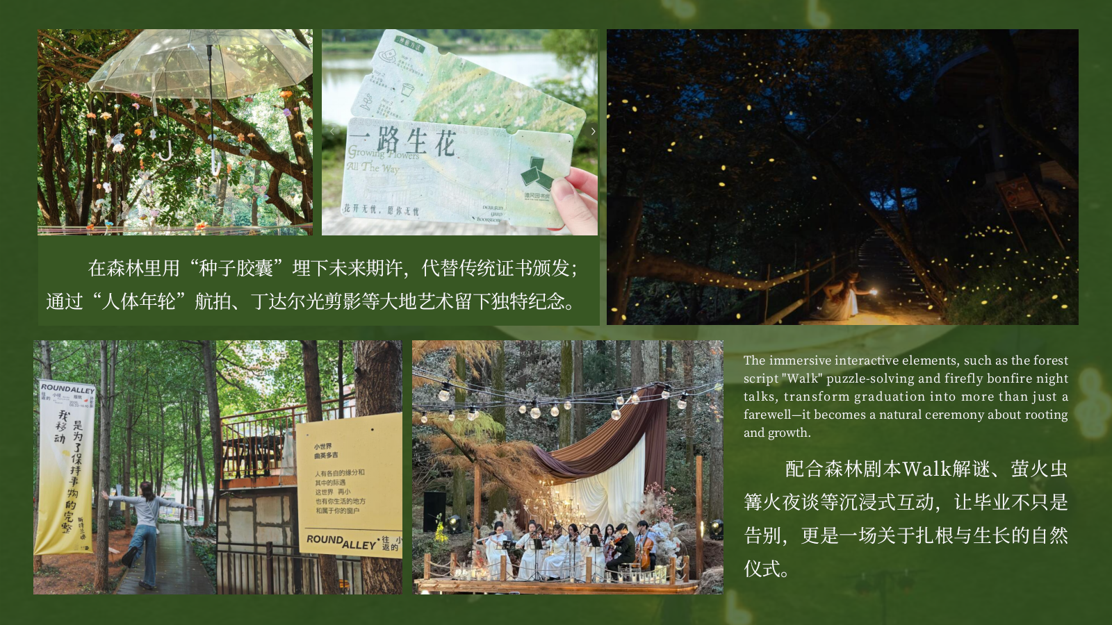 2026林深见路高中大学创意毕业季森林主题毕业典礼活动方案.pptx_第5页