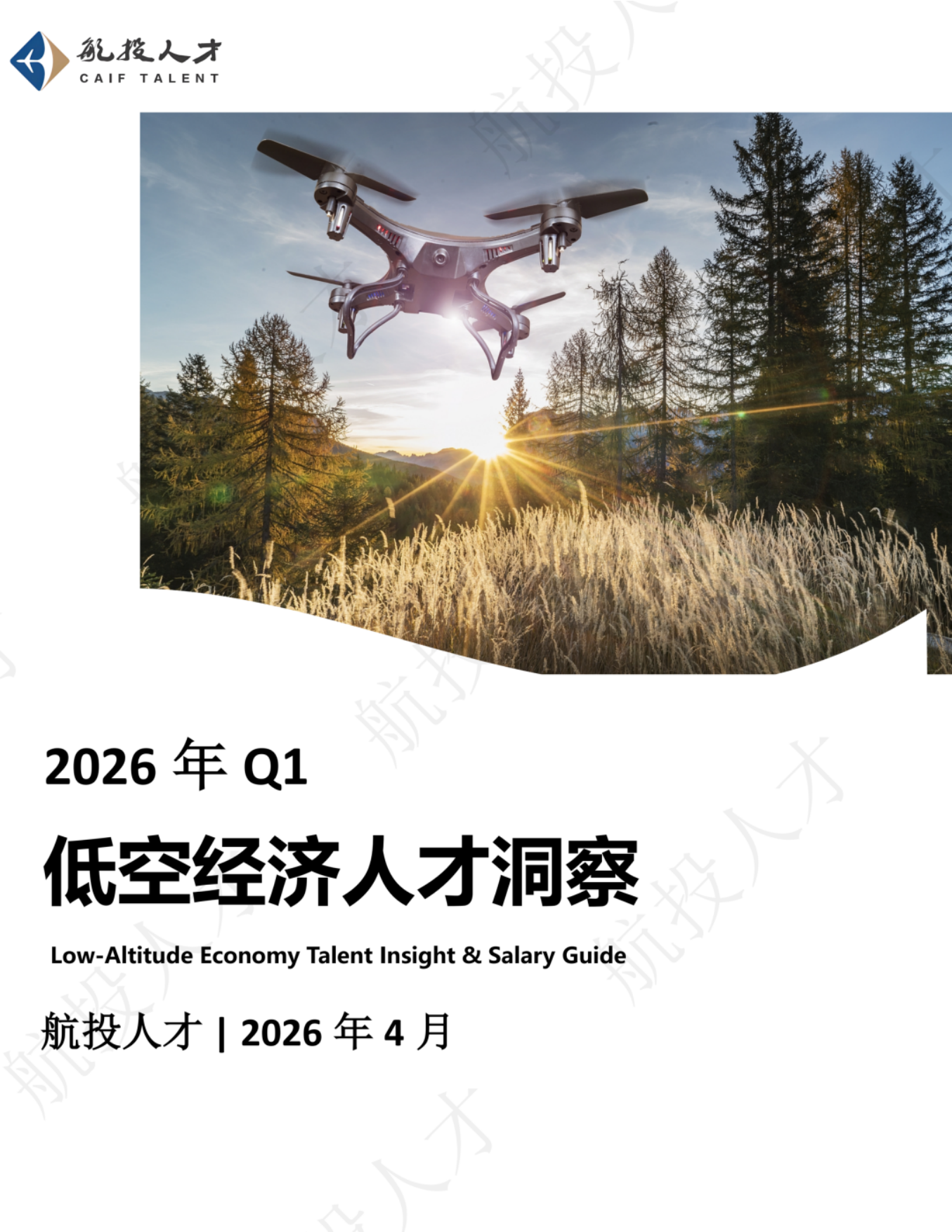 2026年Q1中国低空经济人才市场洞察与薪酬指南-航投人才.pdf