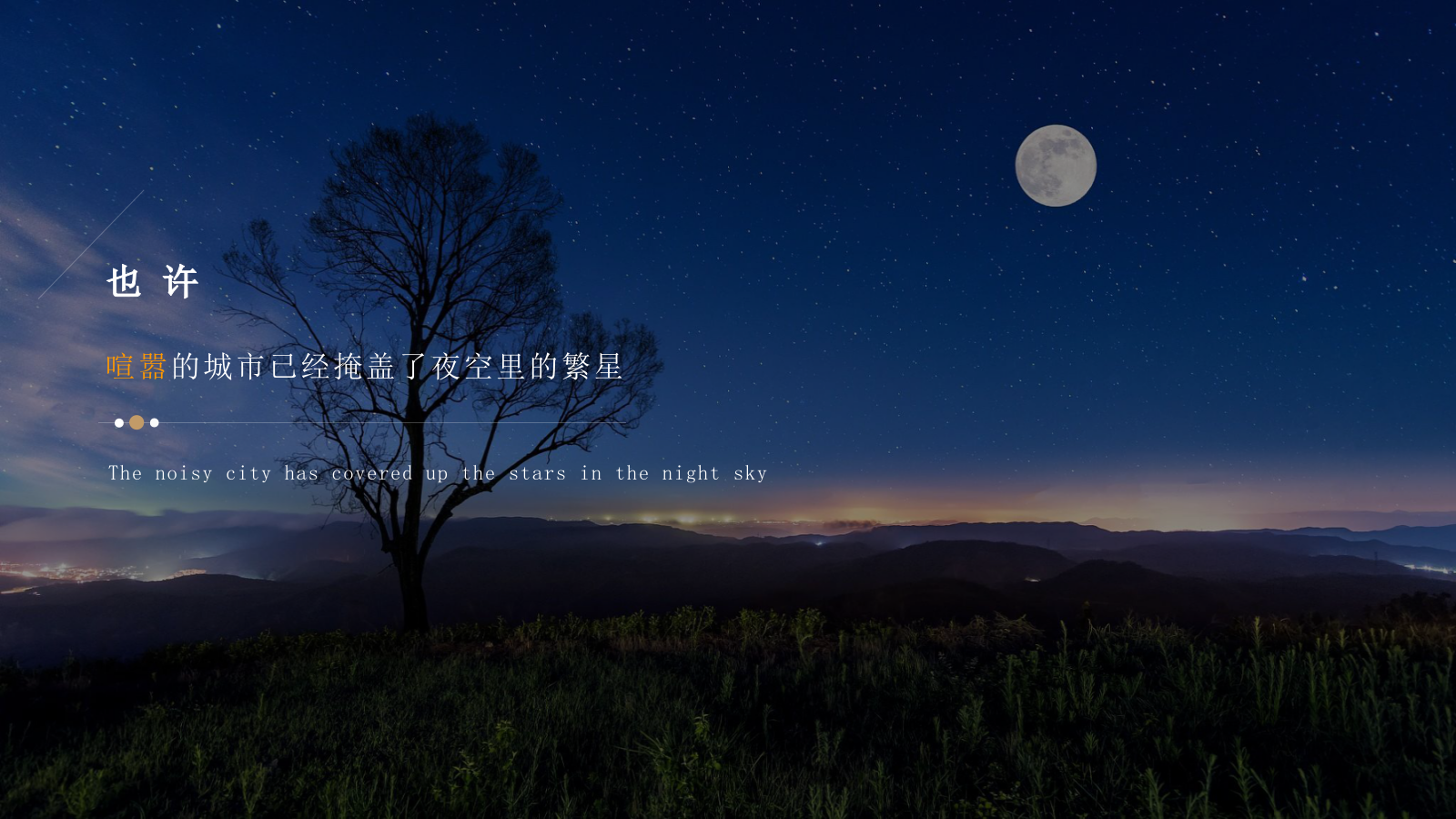 民宿项目商业策划方案.pptx_第5页