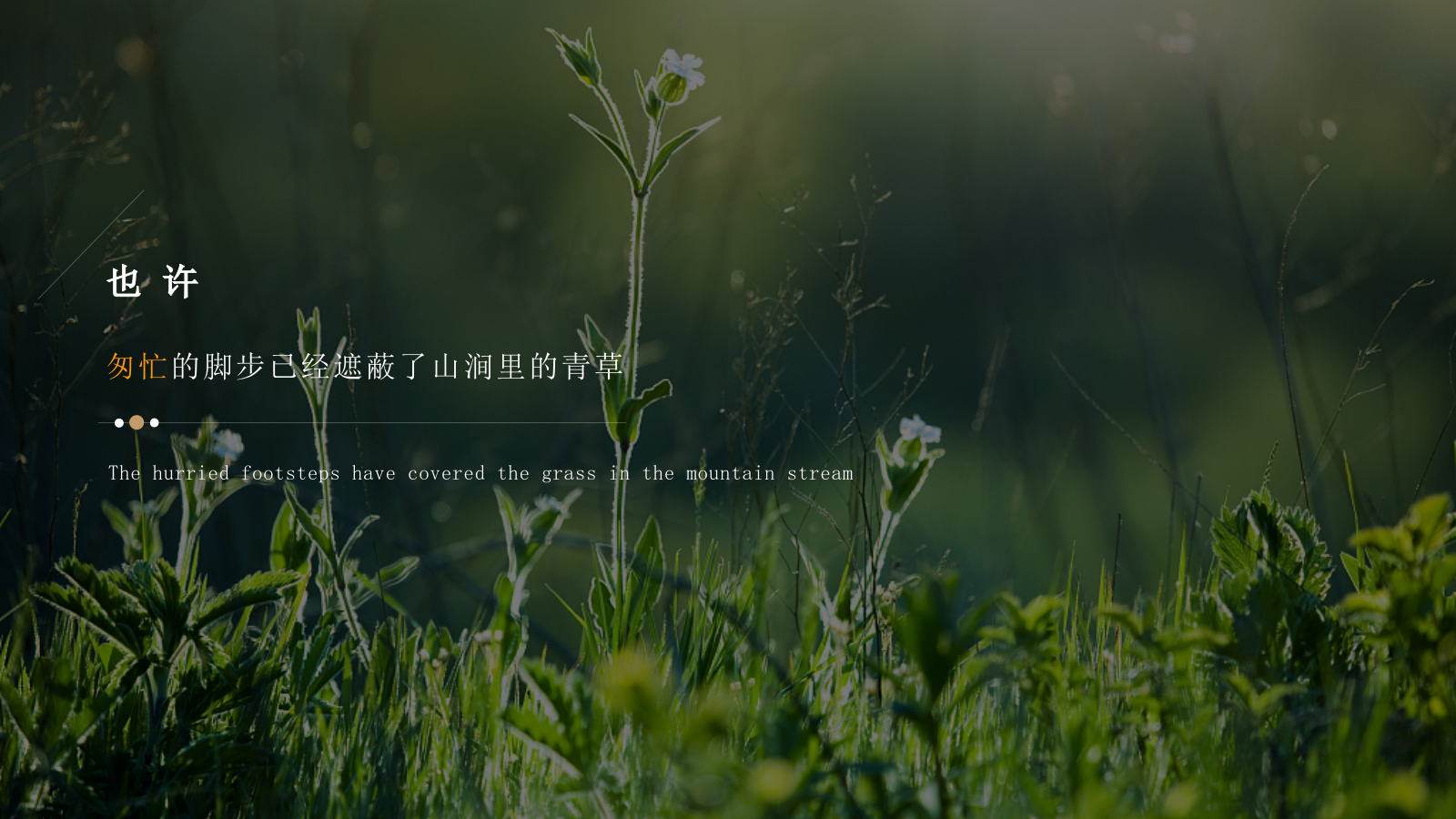 民宿项目商业策划方案.pptx_第6页