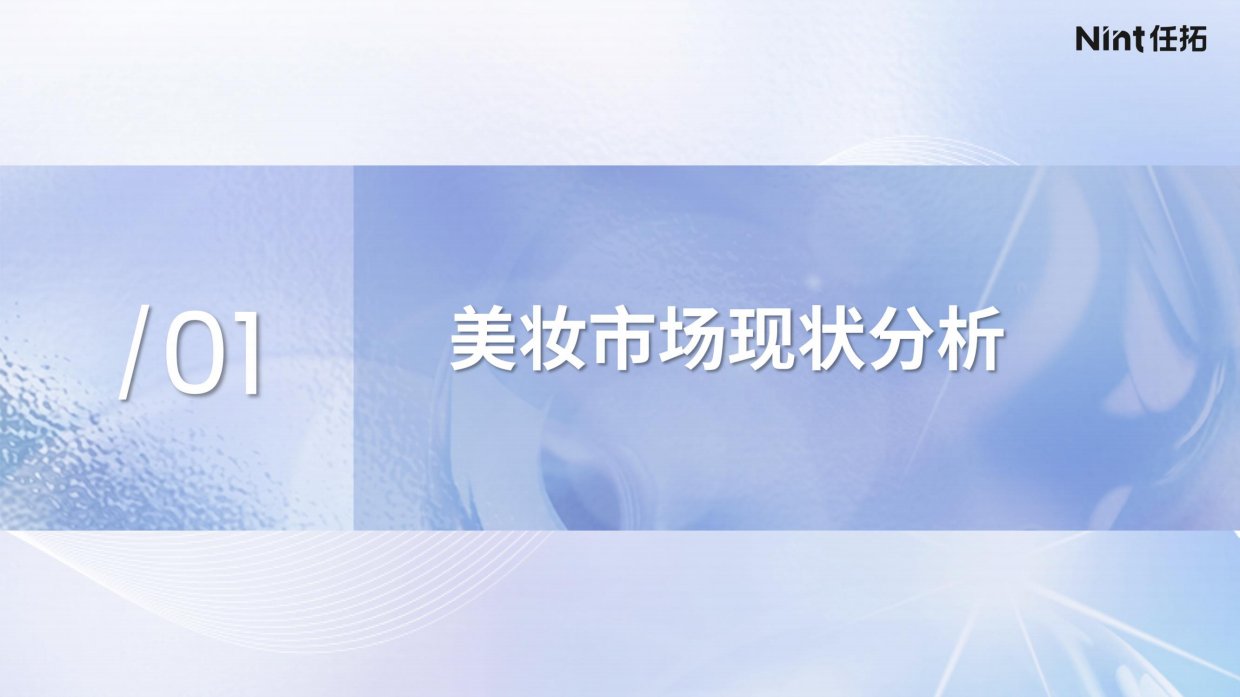 2025美妆细分市场机会报告-Nint任拓.pdf_第2页