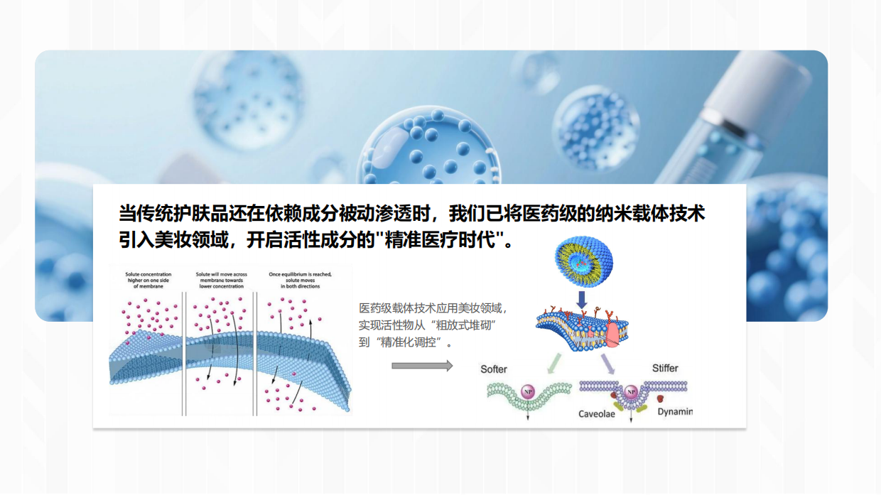 2025年从医药到美妆：SOUNDER ONE纳米载体重构活性物渗透规则.pdf_第6页