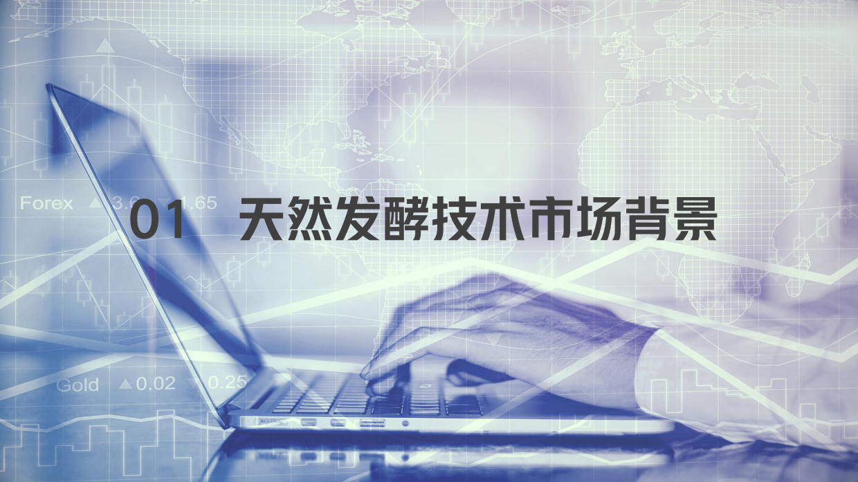 2025时光的酿造：天然发酵引领未来美妆-点滴生物.pdf_第3页