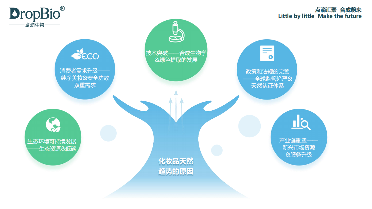 2025时光的酿造：天然发酵引领未来美妆-点滴生物.pdf_第4页