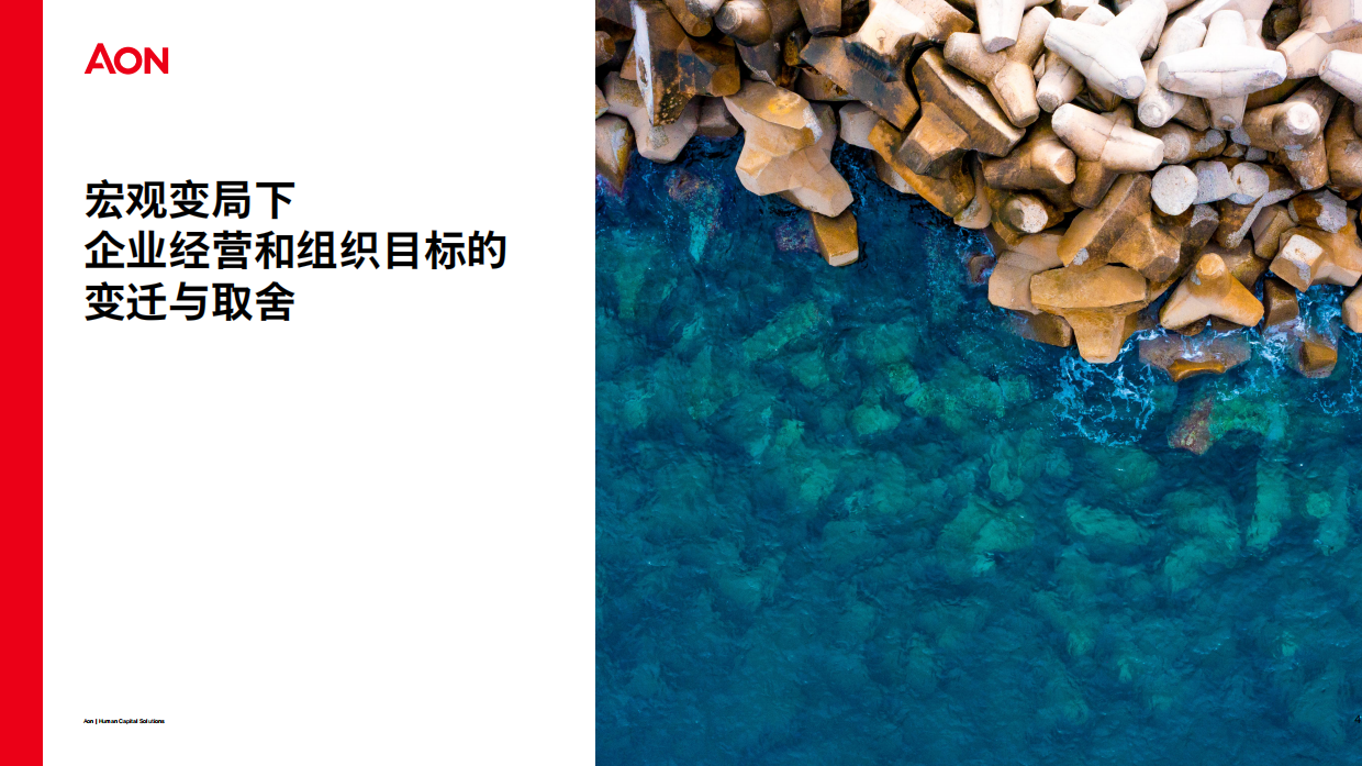 2026中国企业领导力发展实践调研报告-AON.pdf_第4页