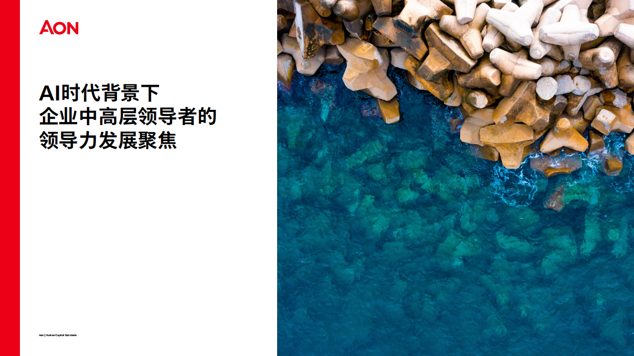 2026中国企业领导力发展实践调研报告-AON.pdf_第9页