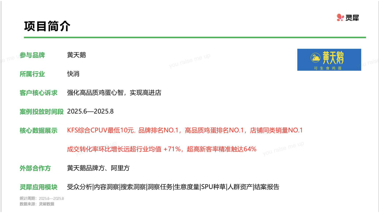 2026小红书黄天鹅红猫计划复盘.pdf_第2页
