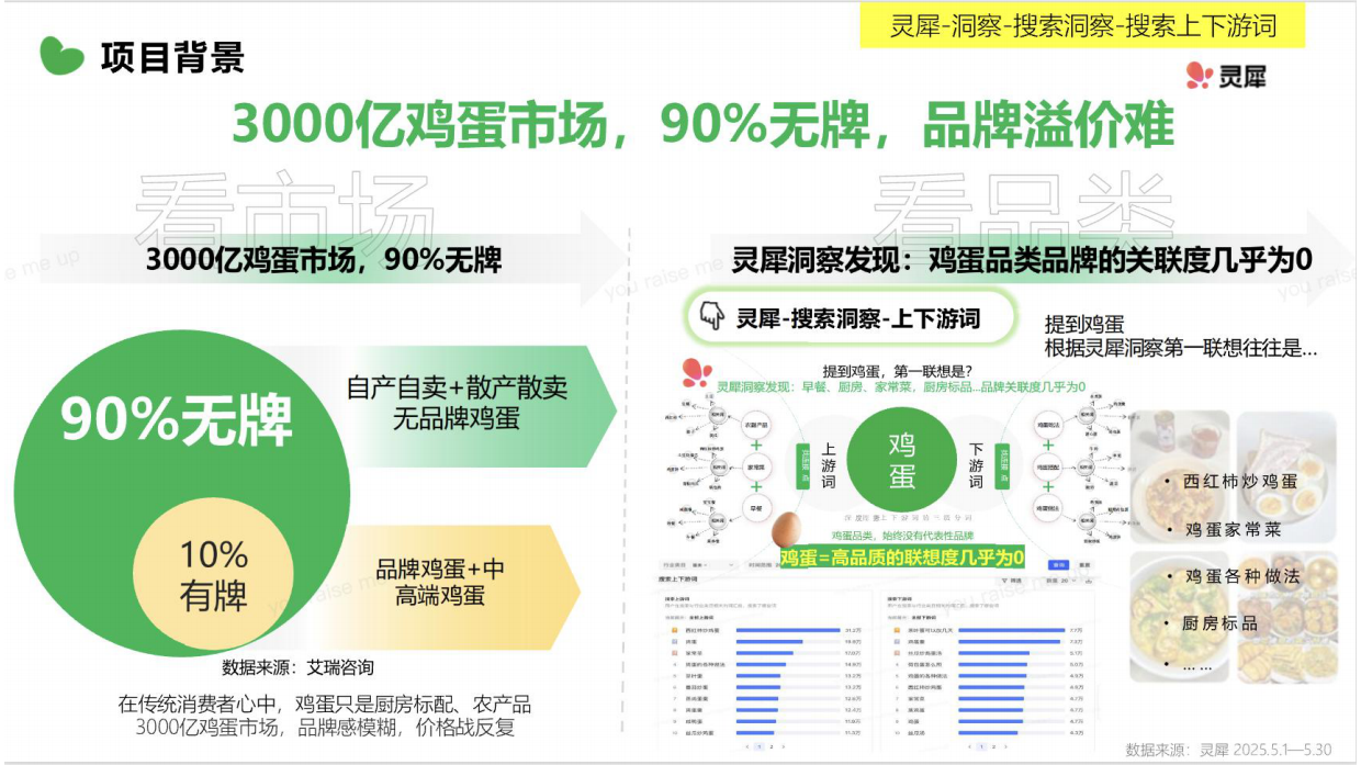 2026小红书黄天鹅红猫计划复盘.pdf_第4页