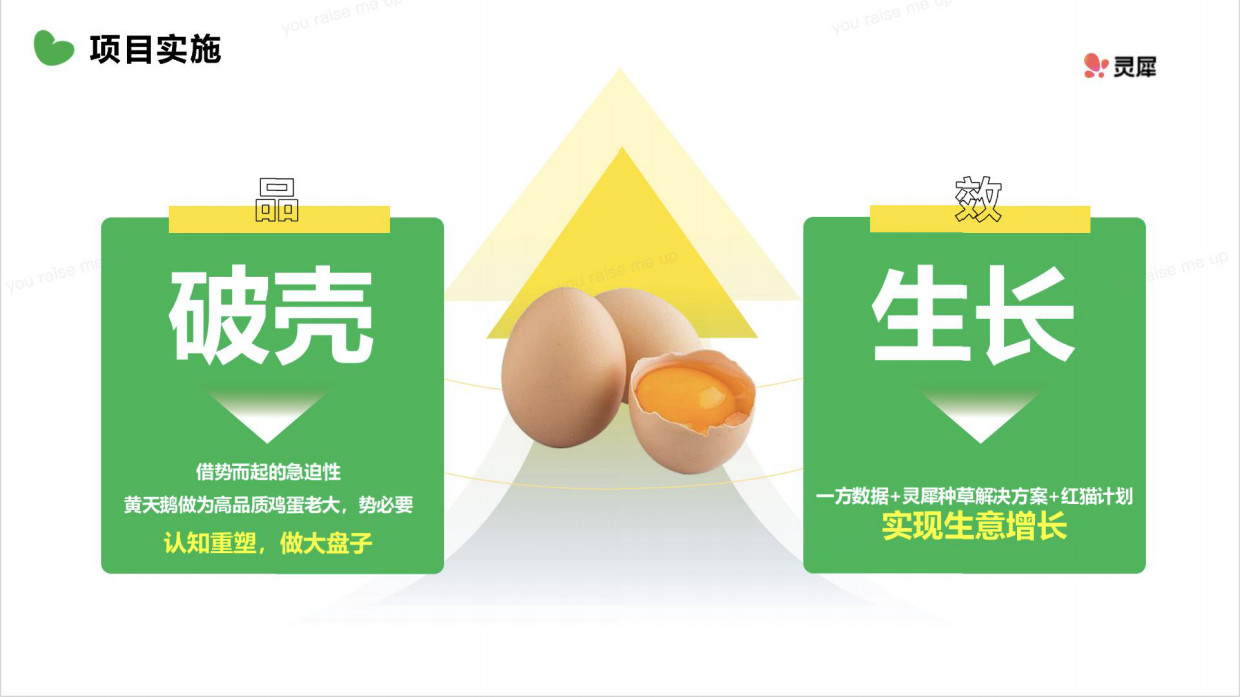 2026小红书黄天鹅红猫计划复盘.pdf_第9页