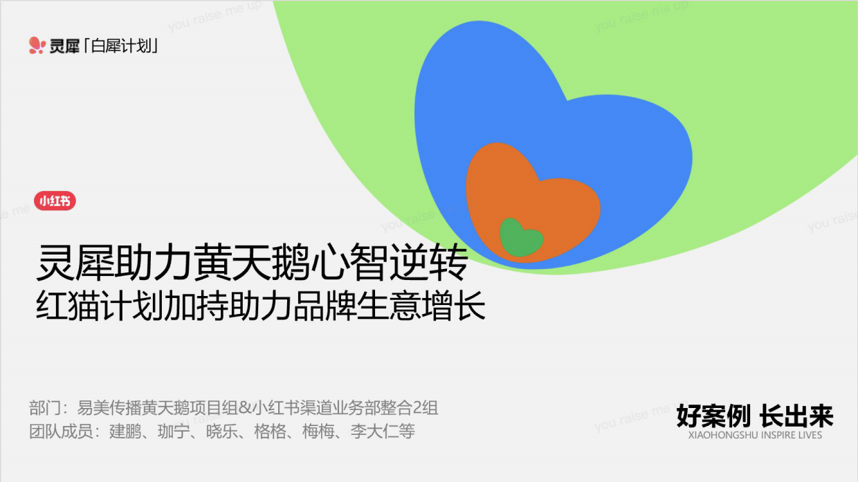 2026小红书黄天鹅红猫计划复盘.pdf