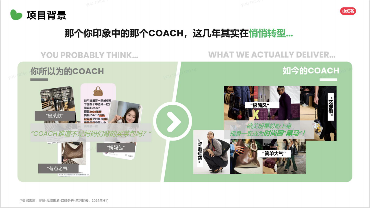 2026COACH小红书科学种草案例.pdf_第6页