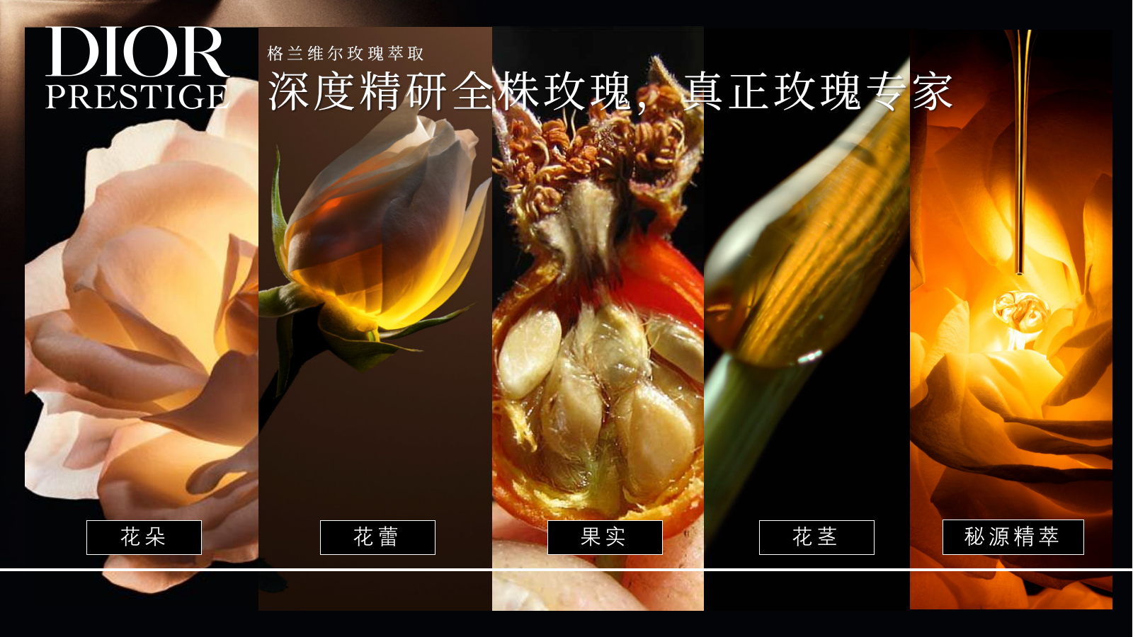 Dior护肤品牌私享会Y26年度规划.pptx_第3页