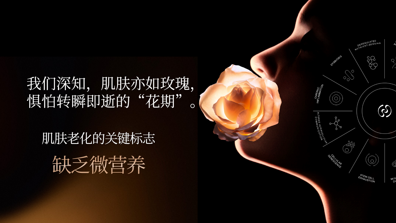 Dior护肤品牌私享会Y26年度规划.pptx_第4页