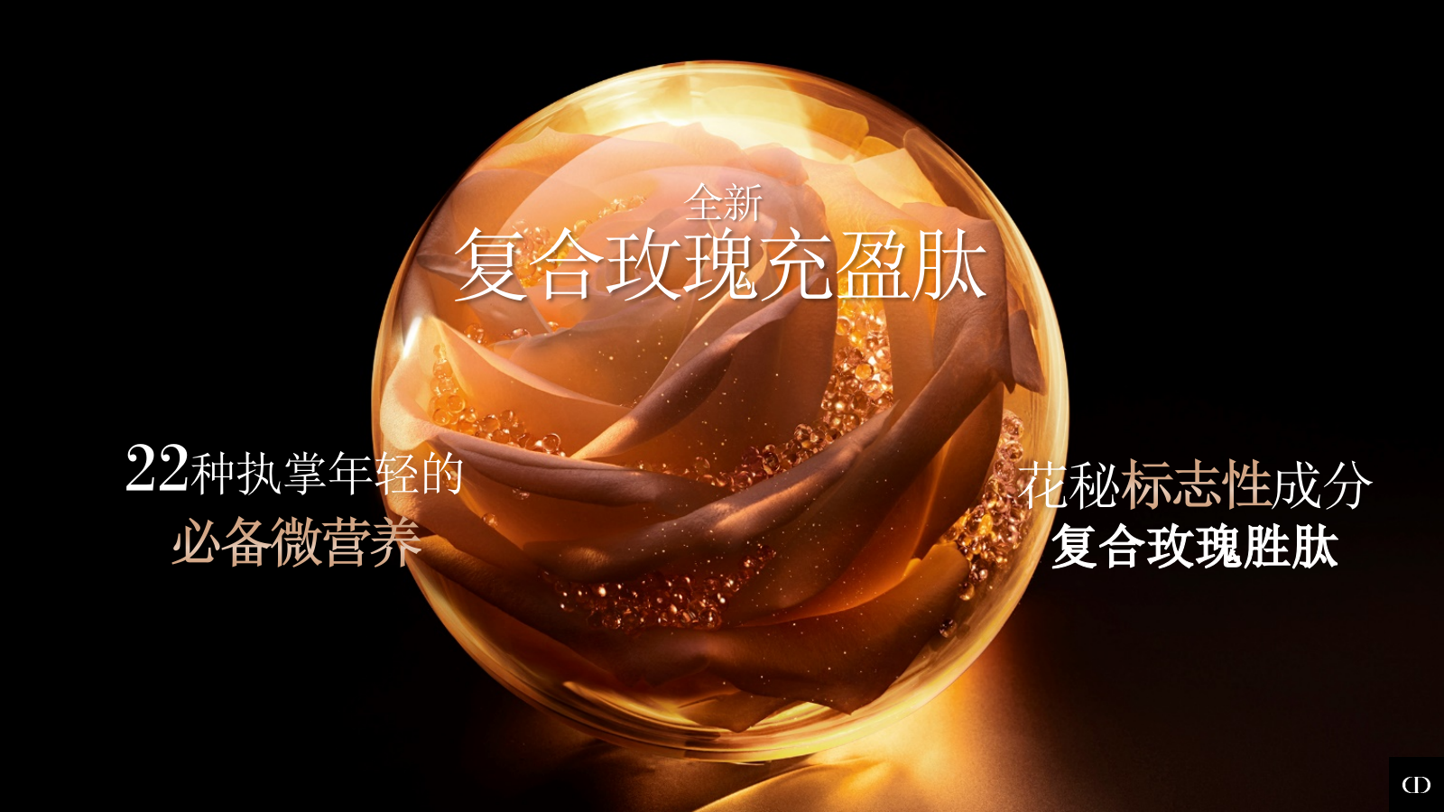 Dior护肤品牌私享会Y26年度规划.pptx_第5页