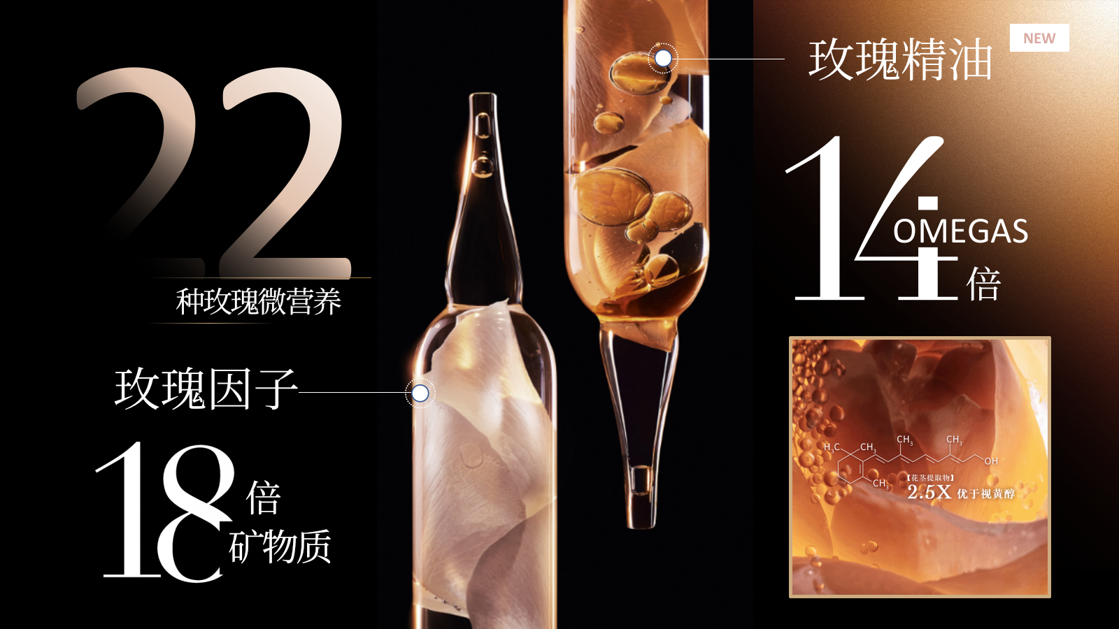 Dior护肤品牌私享会Y26年度规划.pptx_第6页