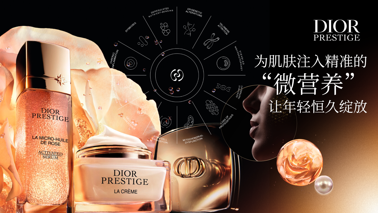 Dior护肤品牌私享会Y26年度规划.pptx_第7页