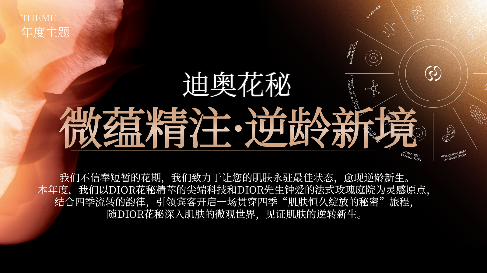 Dior护肤品牌私享会Y26年度规划.pptx_第8页