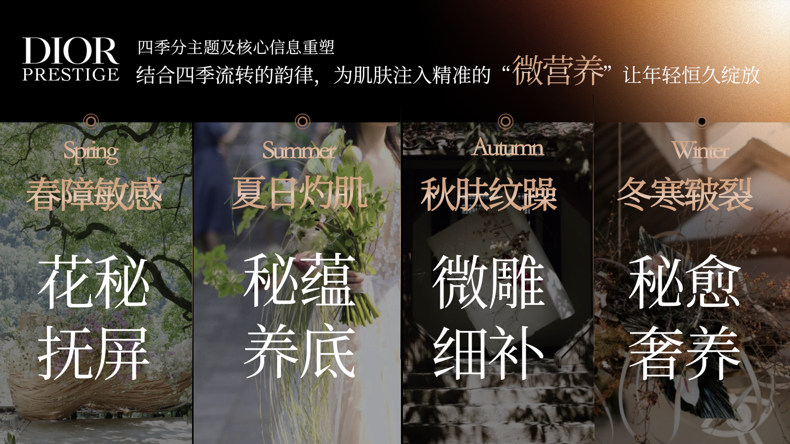 Dior护肤品牌私享会Y26年度规划.pptx_第9页