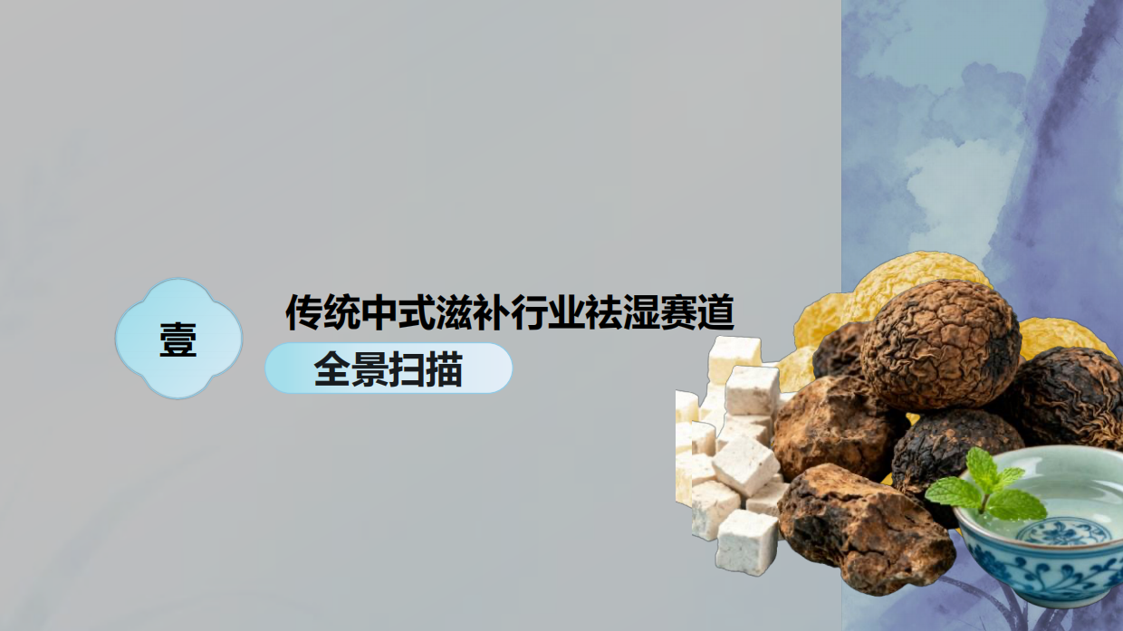 2025年传统中式滋补行业报告：祛湿赛道-凯度.pdf_第4页