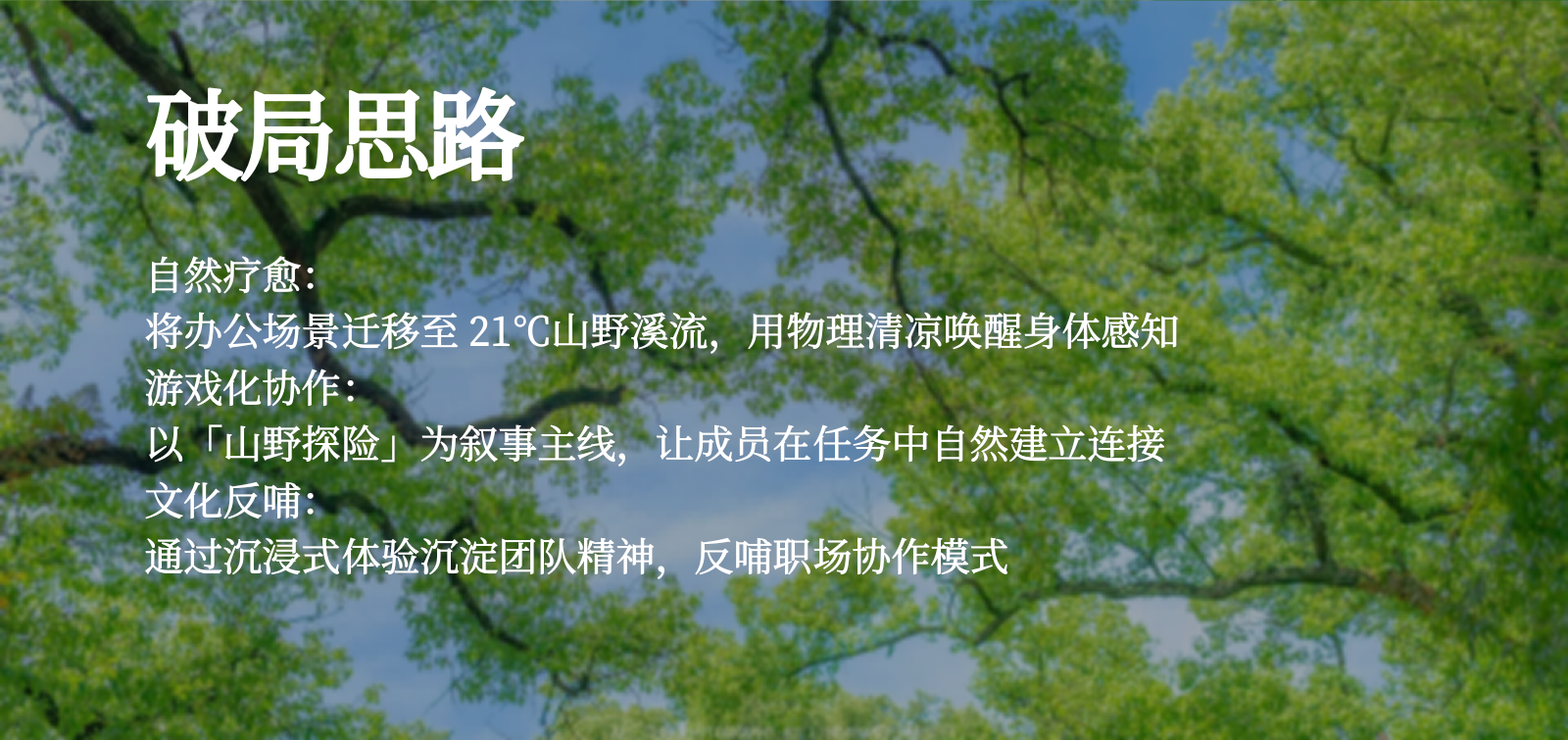 2026夏季清凉团建露营水上乐园员工拓展活动方案.pptx_第5页