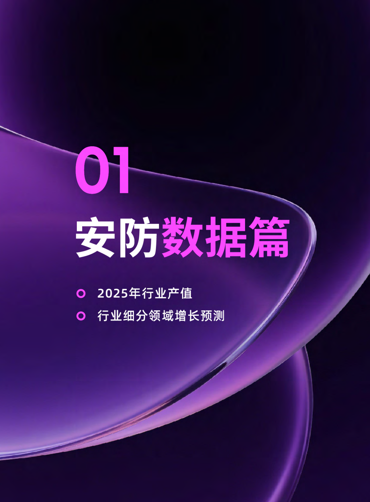 2025-2026年度中国安防行业调查报告-深安协&CPS中安网.pdf_第4页