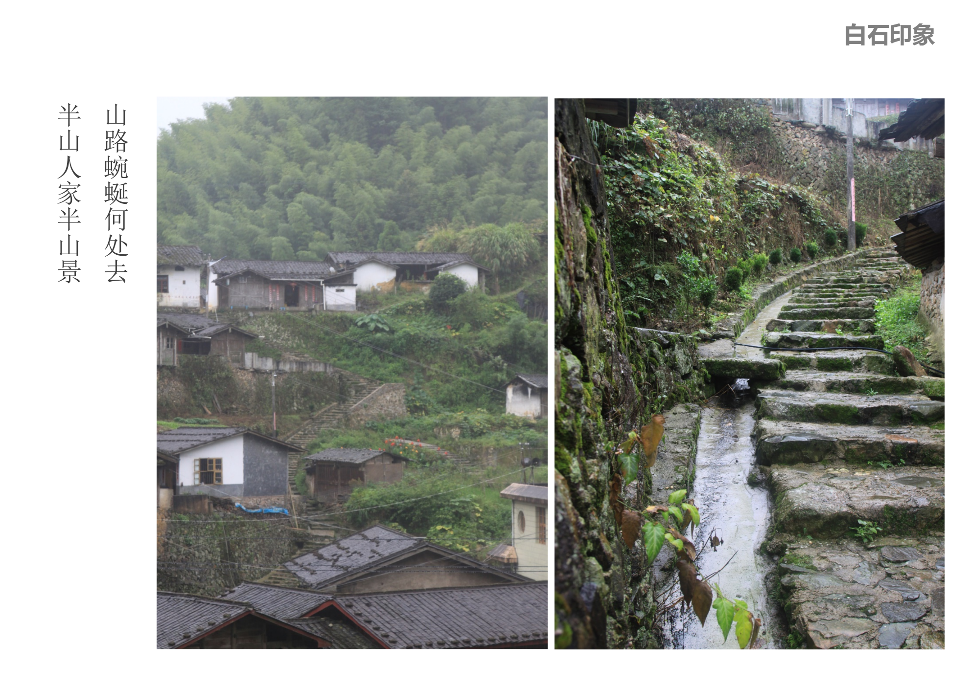 福建省龙岩市连成县白石村传统村落保护规划-风貌保护型.pptx_第9页