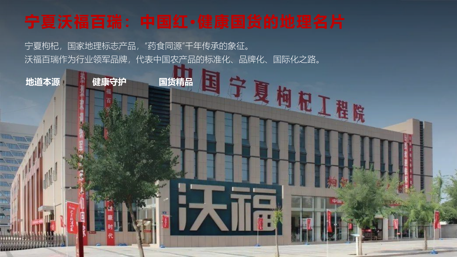 2026沃福百瑞X吉利中国星全国媒体试驾会.pptx_第6页