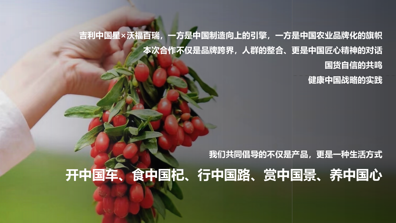 2026沃福百瑞X吉利中国星全国媒体试驾会.pptx_第9页