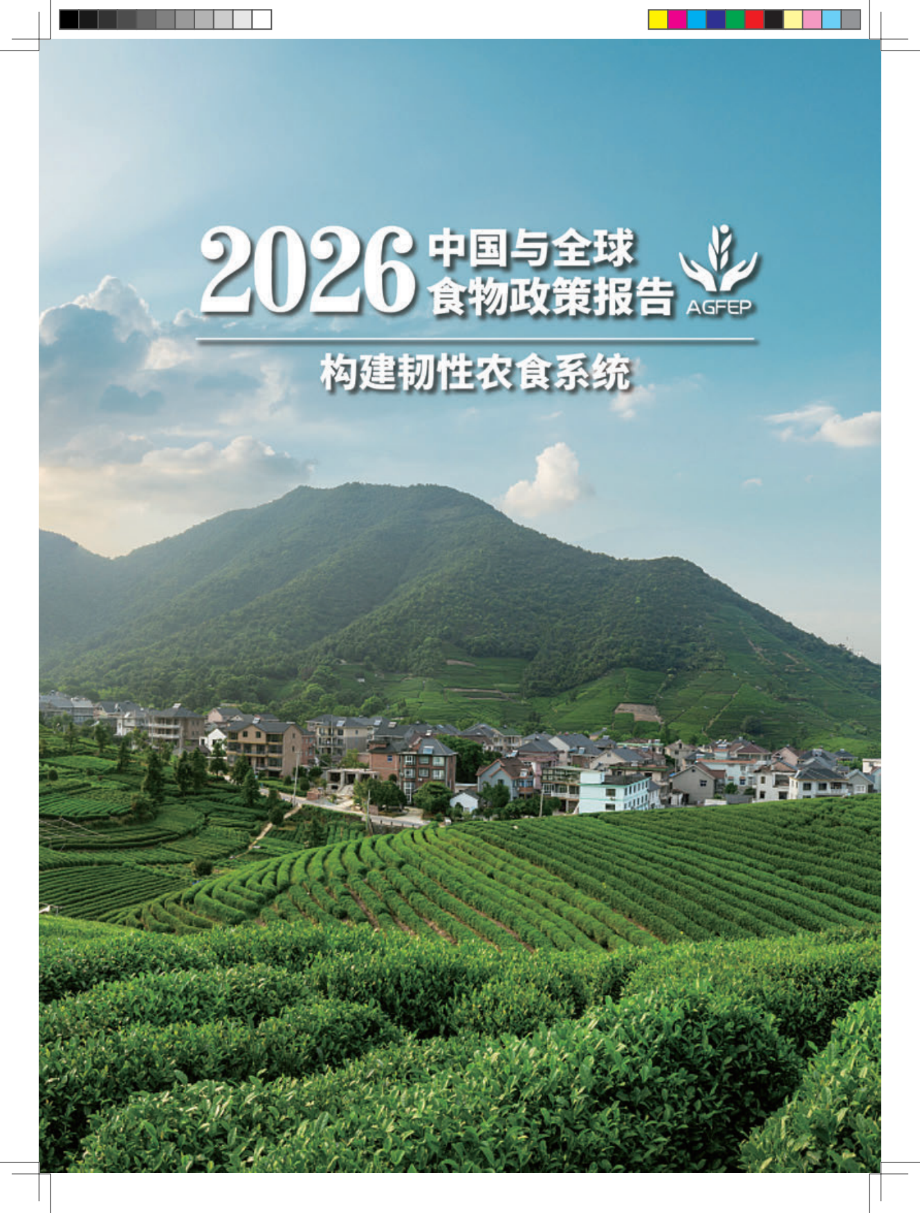 2026中国与全球食物政策报告——构建韧性农食系统-全球食物经济与政策研究院.pdf_第6页