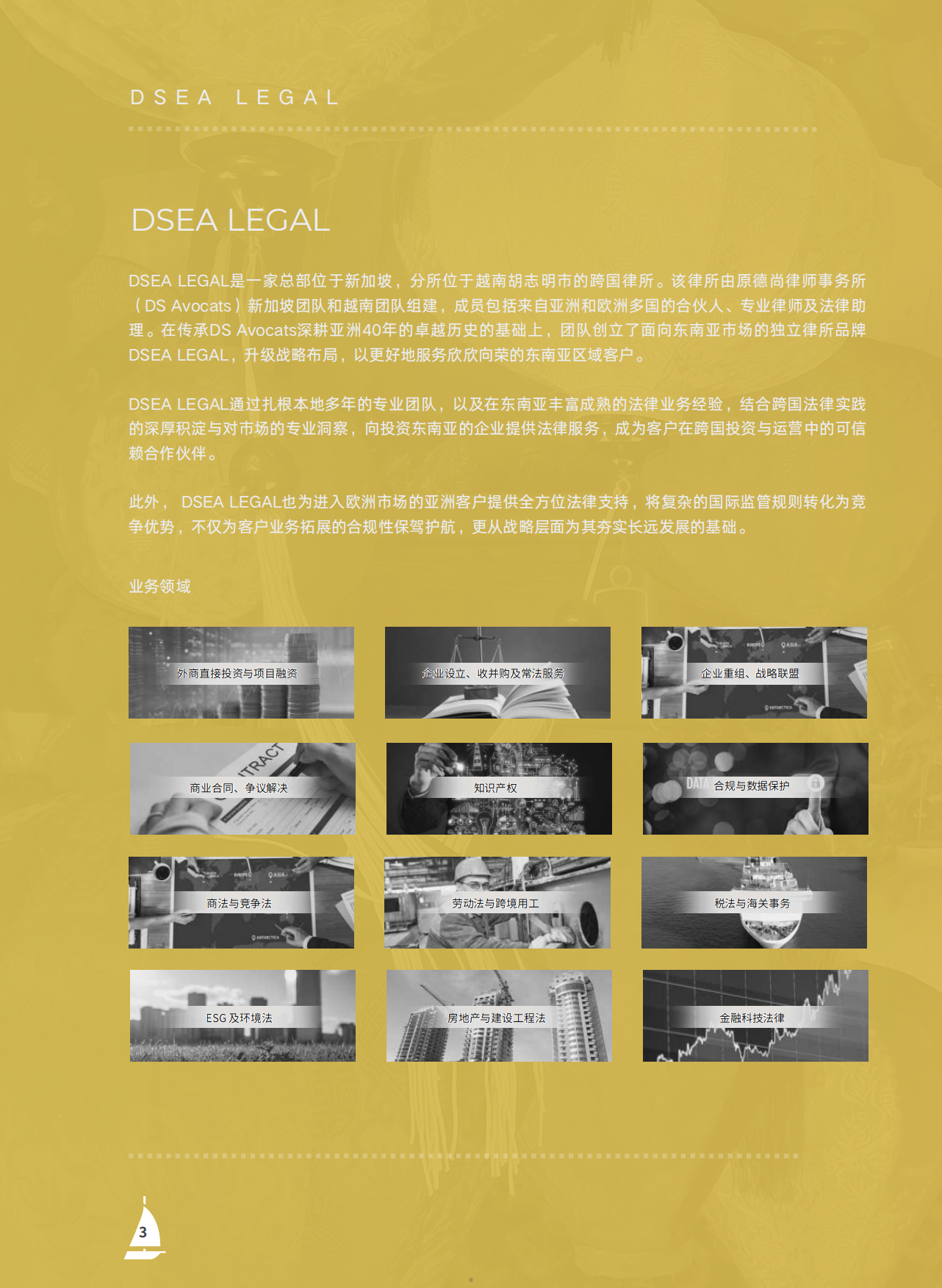 2026中国企业出海越南100问-DSEA&浩天律所.pdf_第5页