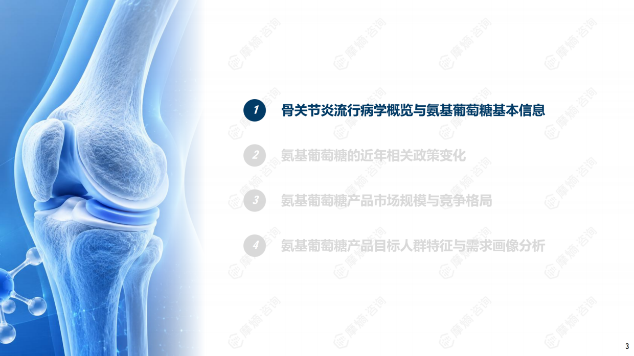 2026氨基葡萄糖制剂市场深度研究报告-摩熵咨询.pdf_第3页